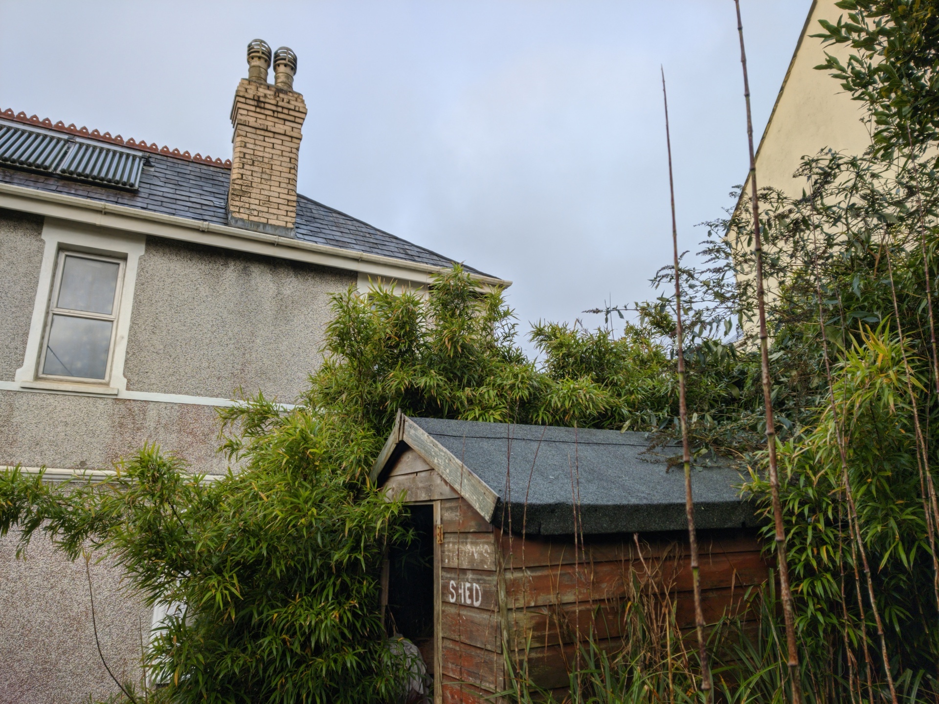 smartphone co camera 108mp chua can thiet anh 9