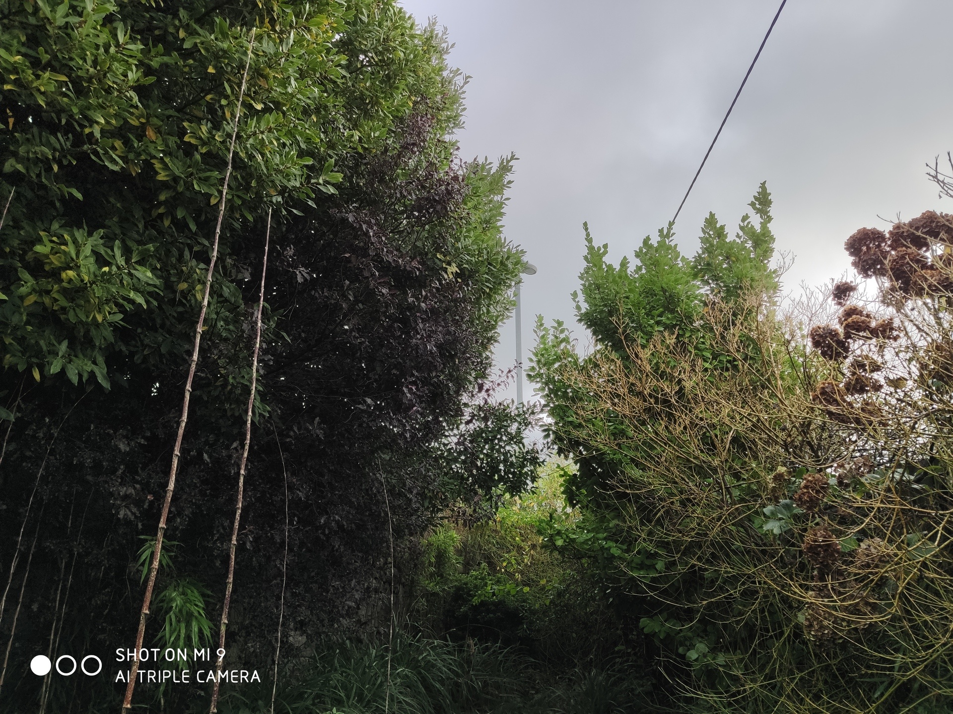 smartphone co camera 108mp chua can thiet anh 11