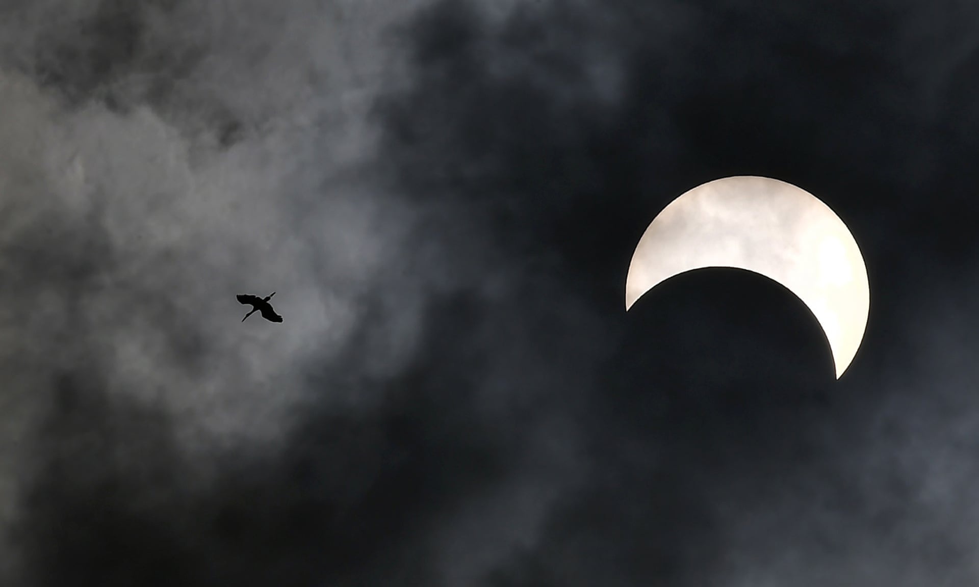 hinh anh nhat thuc 2019 anh 8