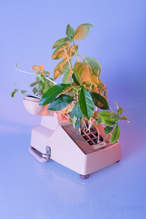 trien lam rac thai dien tu bao ve moi truong anh 9