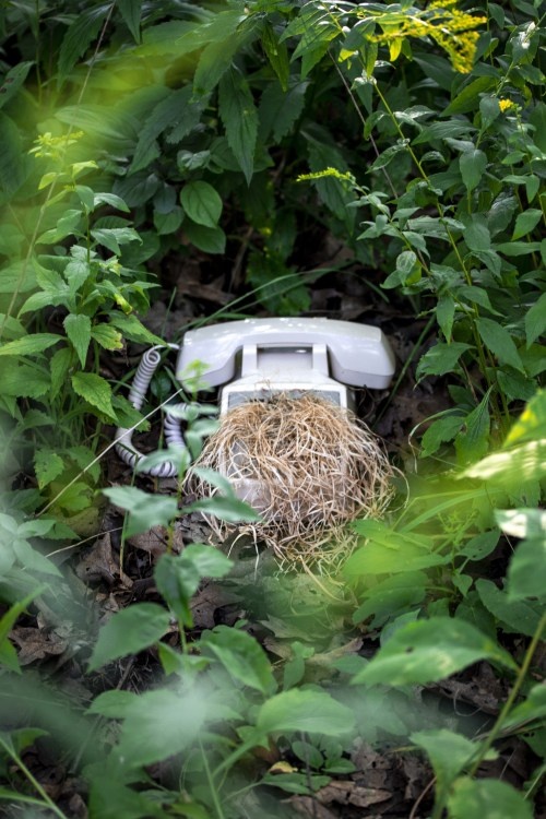 trien lam rac thai dien tu bao ve moi truong anh 8