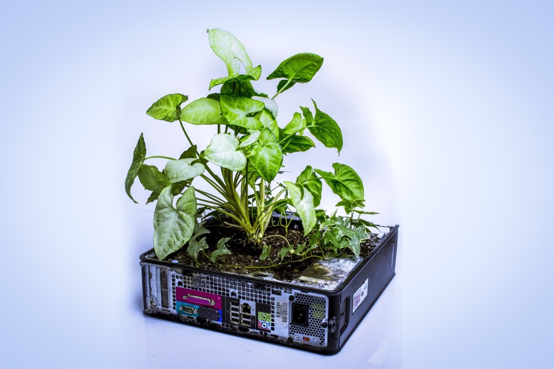 trien lam rac thai dien tu bao ve moi truong anh 14