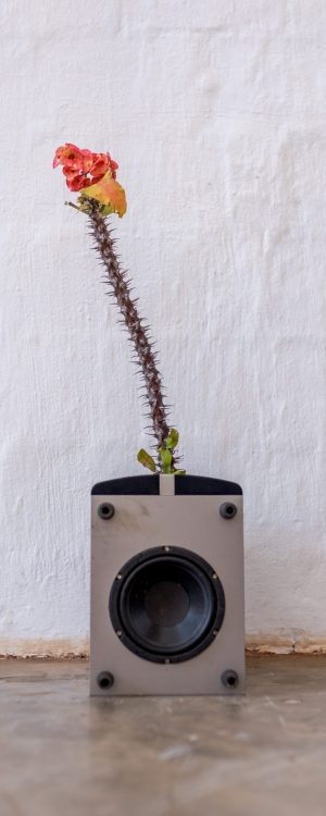 trien lam rac thai dien tu bao ve moi truong anh 1