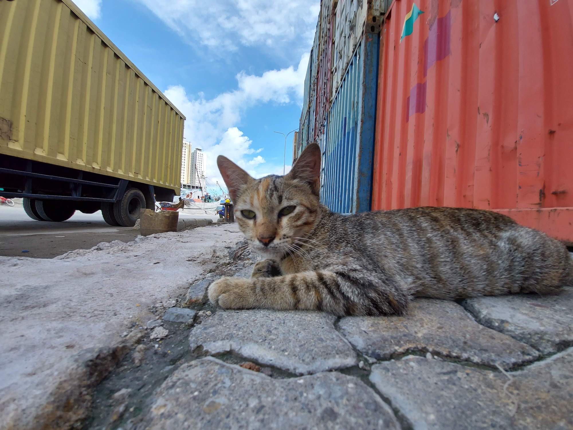 chi tiet samsung galaxy a71 anh 6