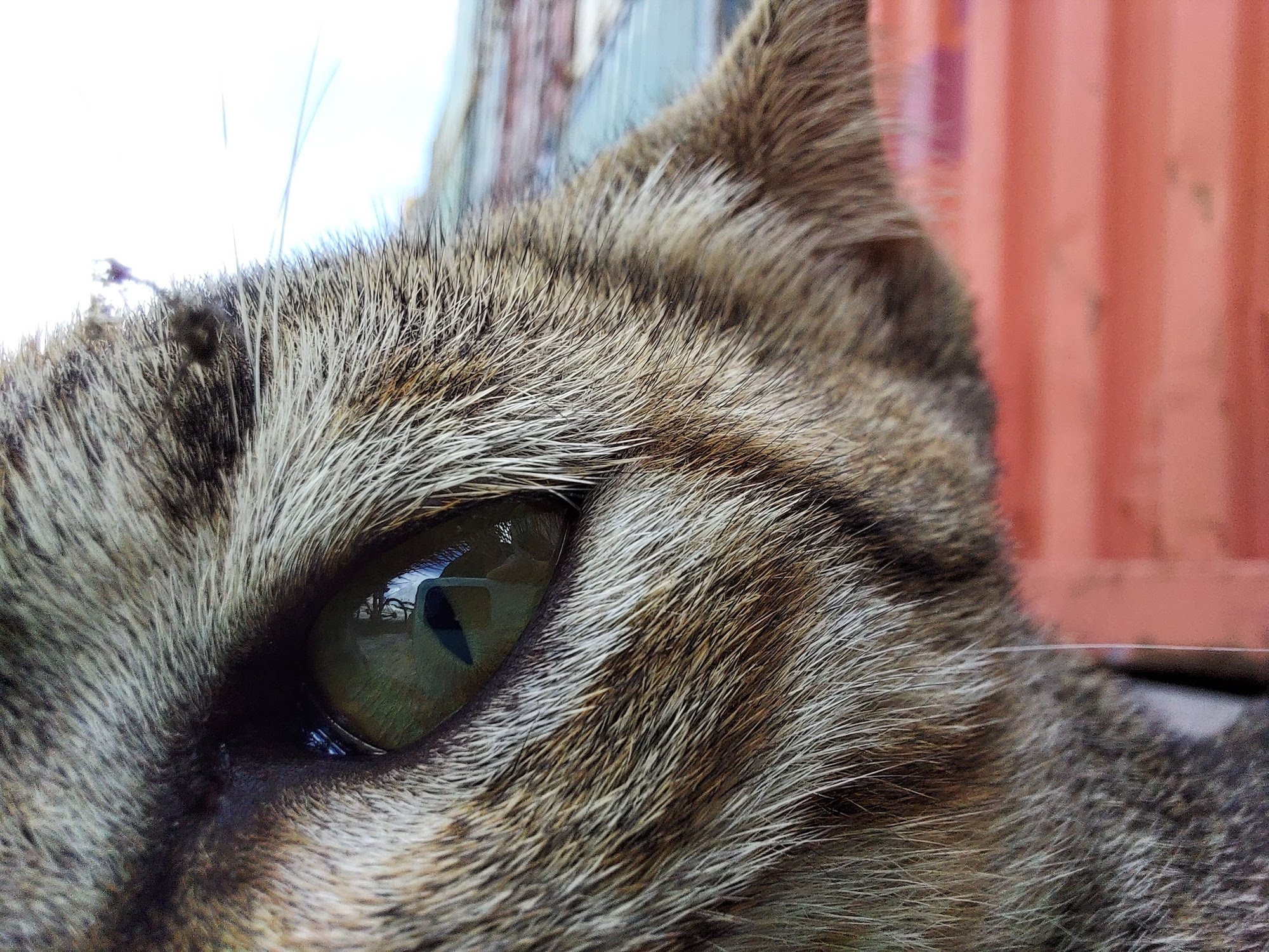 chi tiet samsung galaxy a71 anh 7