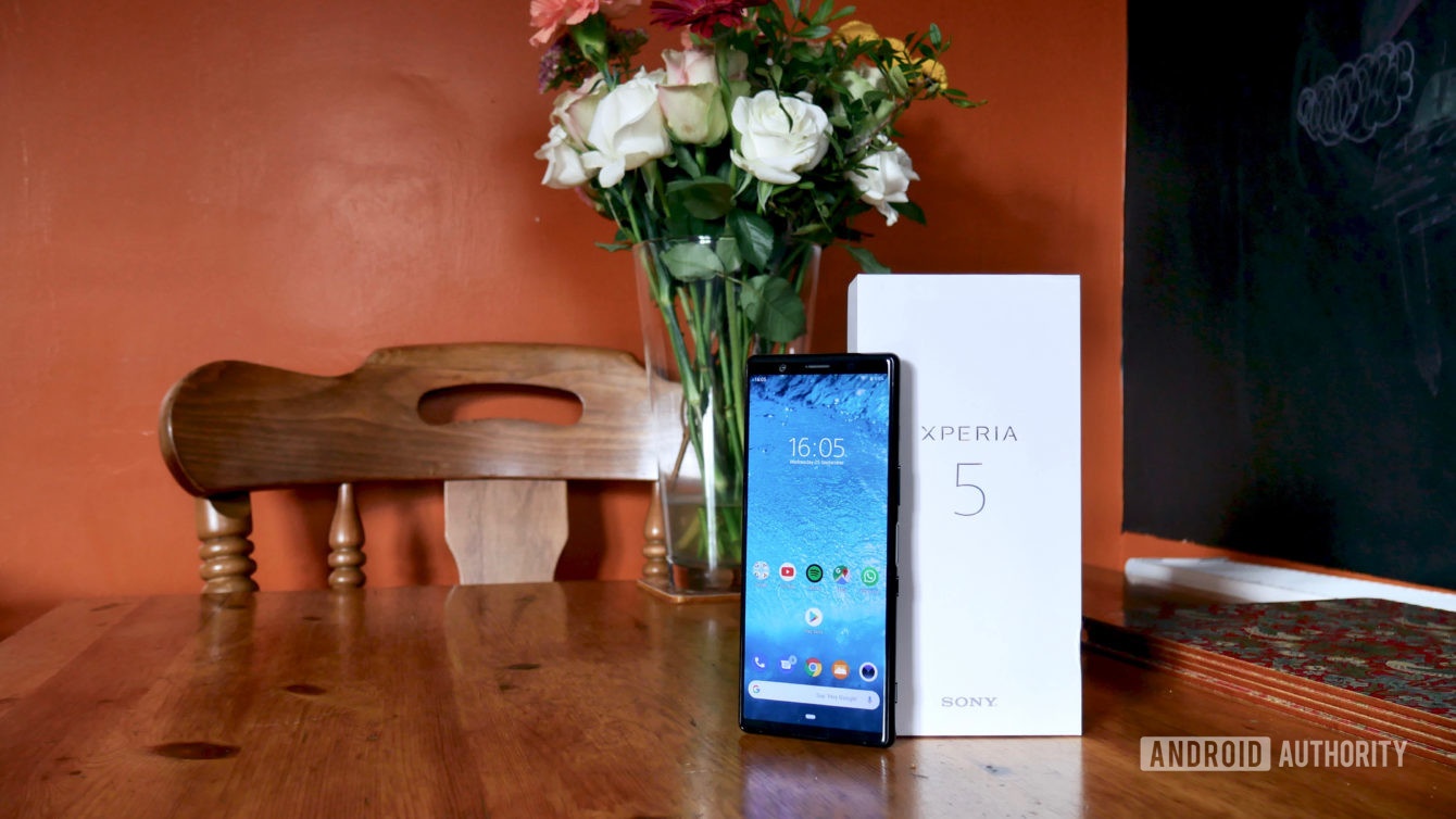 sony can lam gi de hoi sinh anh 3