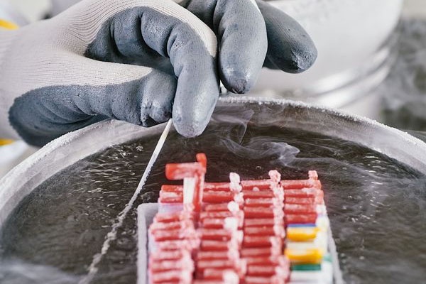 qua trinh thu nghiem vaccine covid-19 anh 3