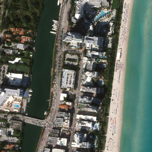 ca the gioi vang ve vi covid-19 anh 11