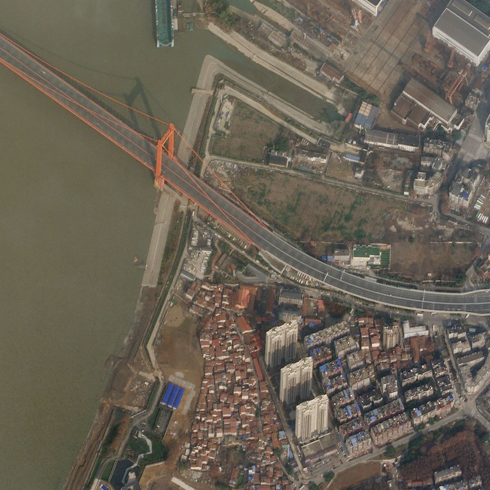 ca the gioi vang ve vi covid-19 anh 2