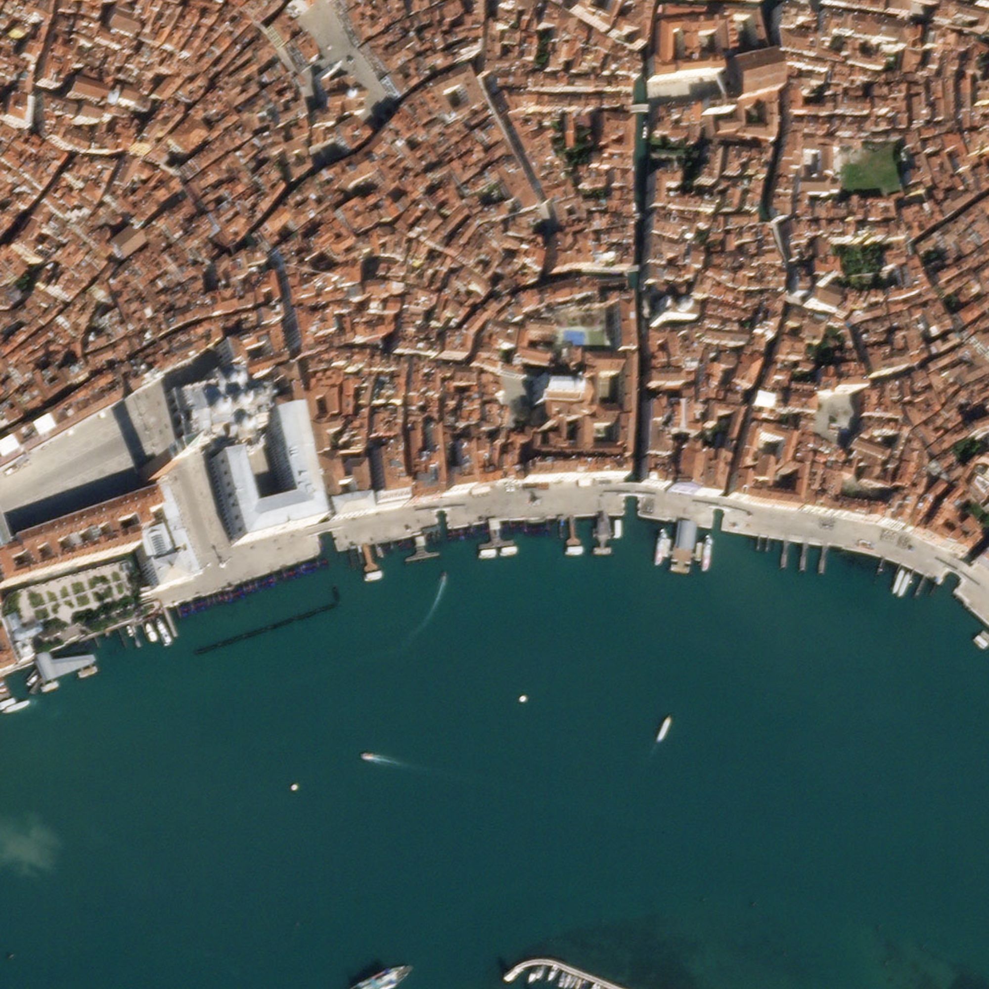 ca the gioi vang ve vi covid-19 anh 6