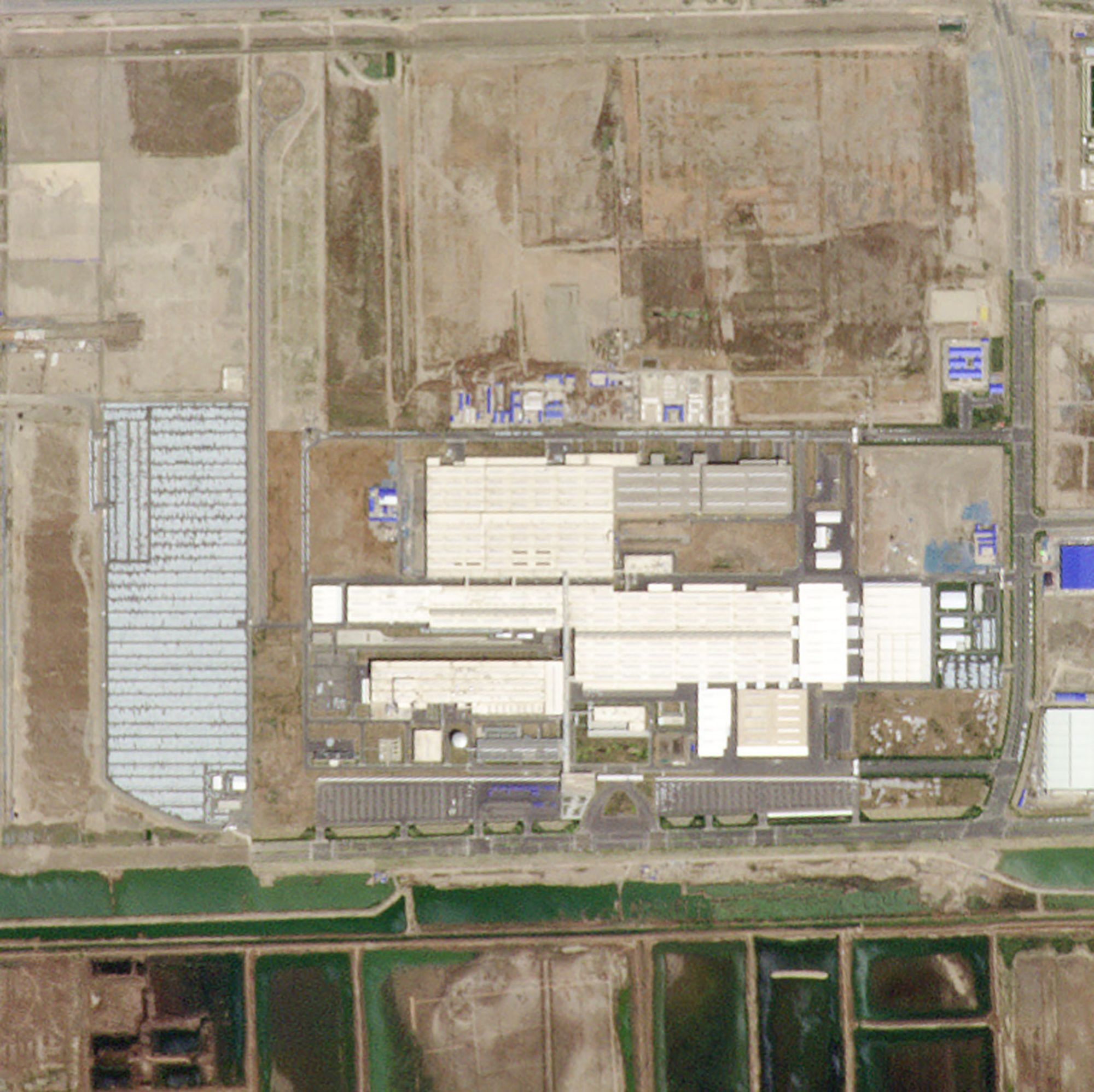 ca the gioi vang ve vi covid-19 anh 9