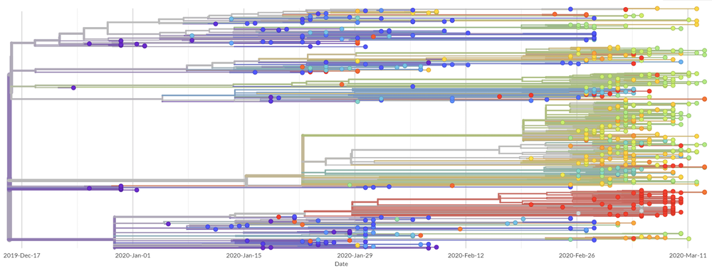vi sao virus covid-19 dot bien anh 3