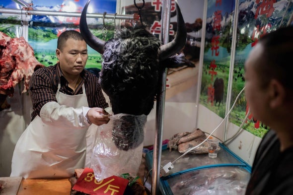 vi sao my khong the phat hien som virus corona anh 3