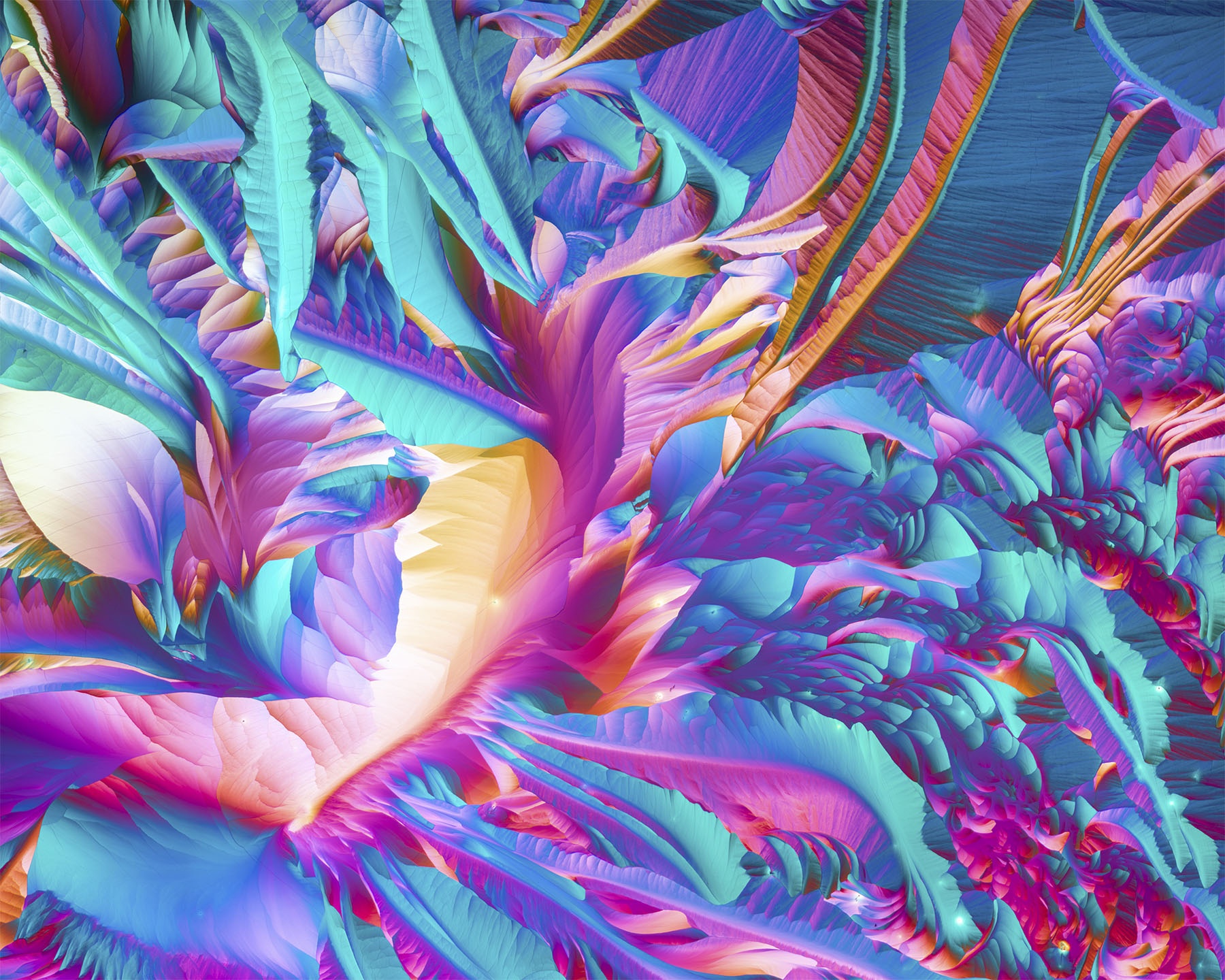 ben trong sinh vat bat tu co gi anh 8