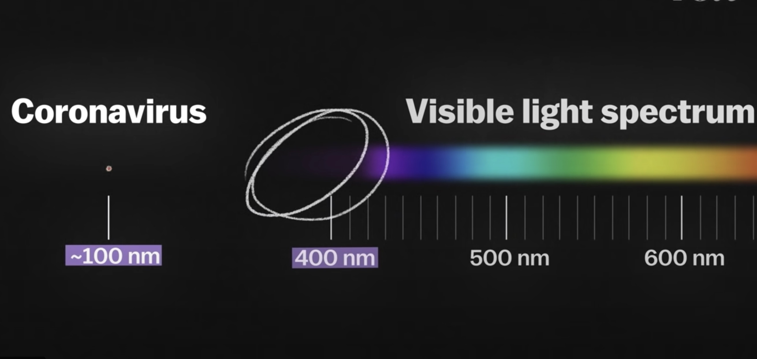 lam sao chup duoc virus SARS-CoV-2 anh 2
