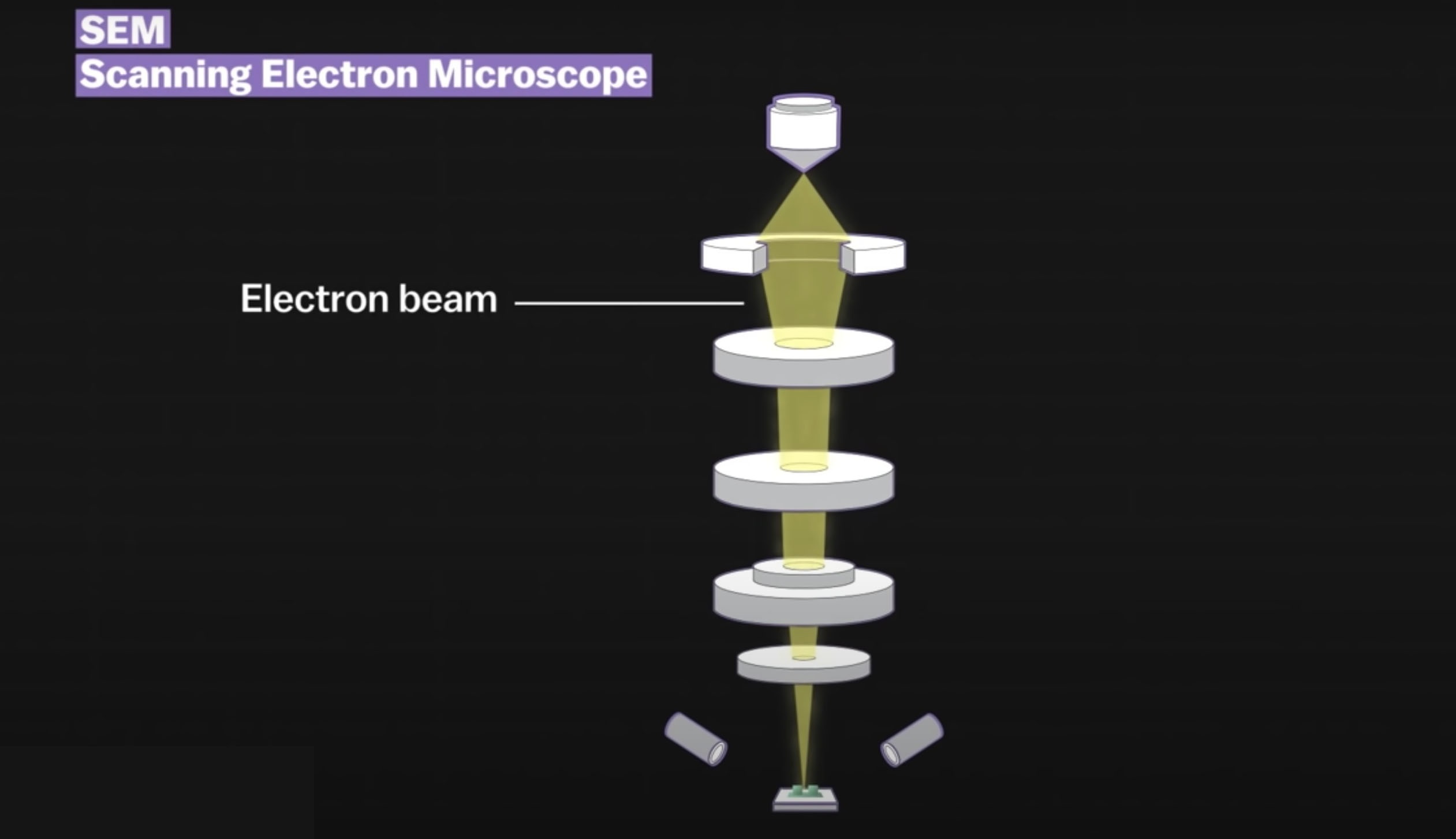 lam sao chup duoc virus SARS-CoV-2 anh 4