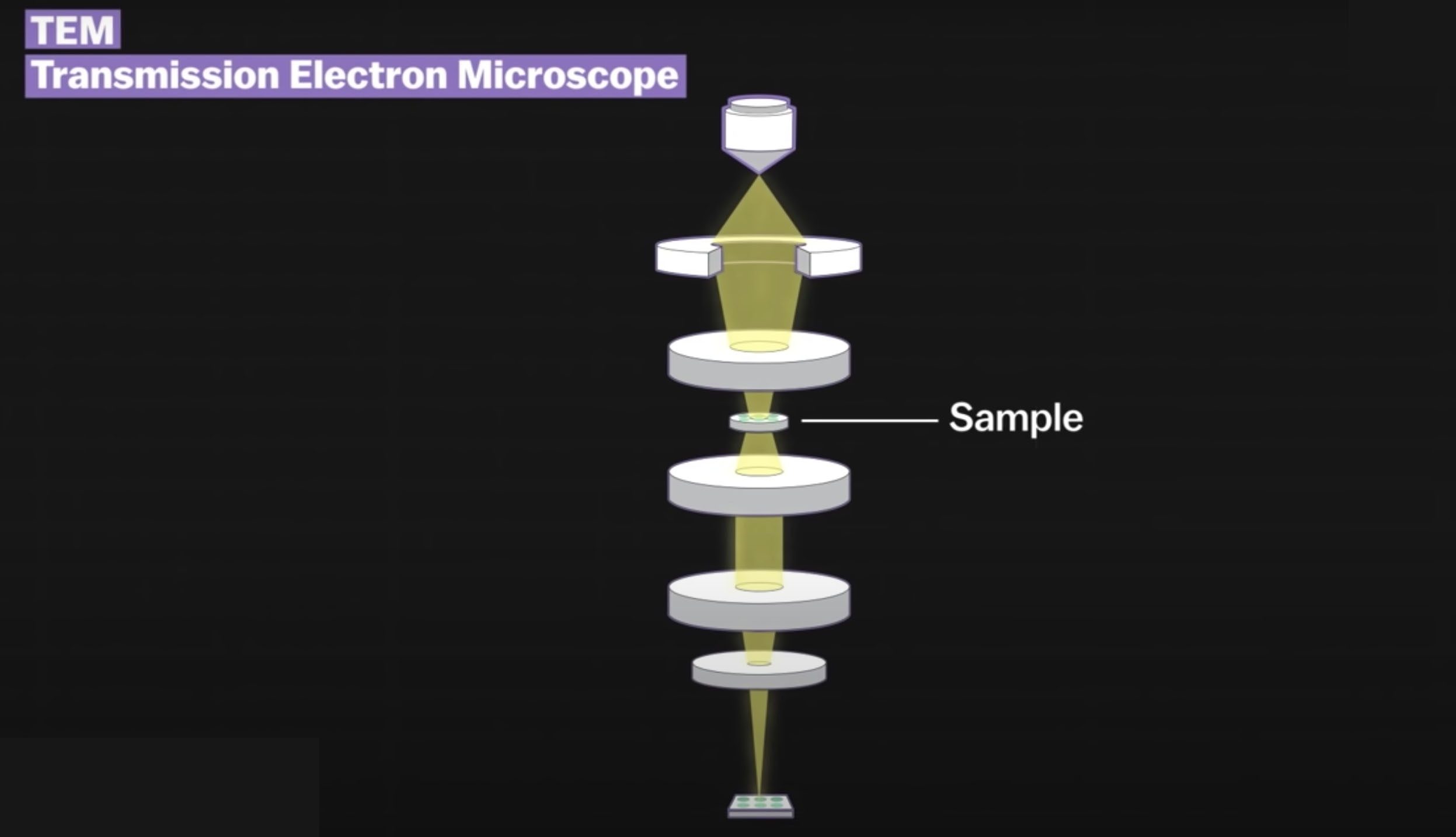 lam sao chup duoc virus SARS-CoV-2 anh 6