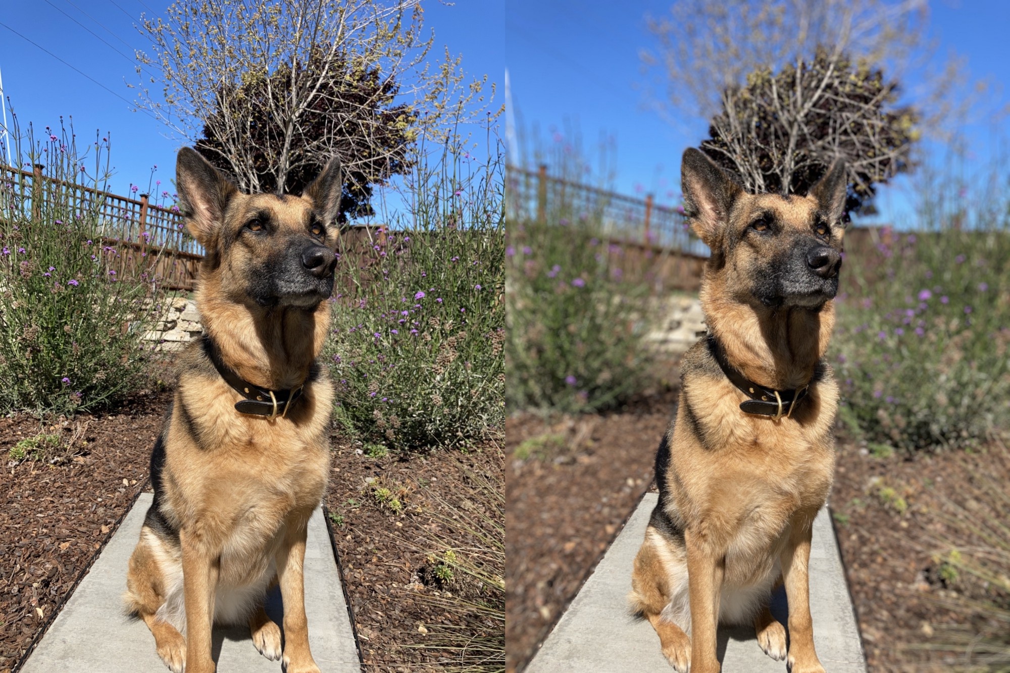 iphone se chup xoa phong nhu the nao anh 3