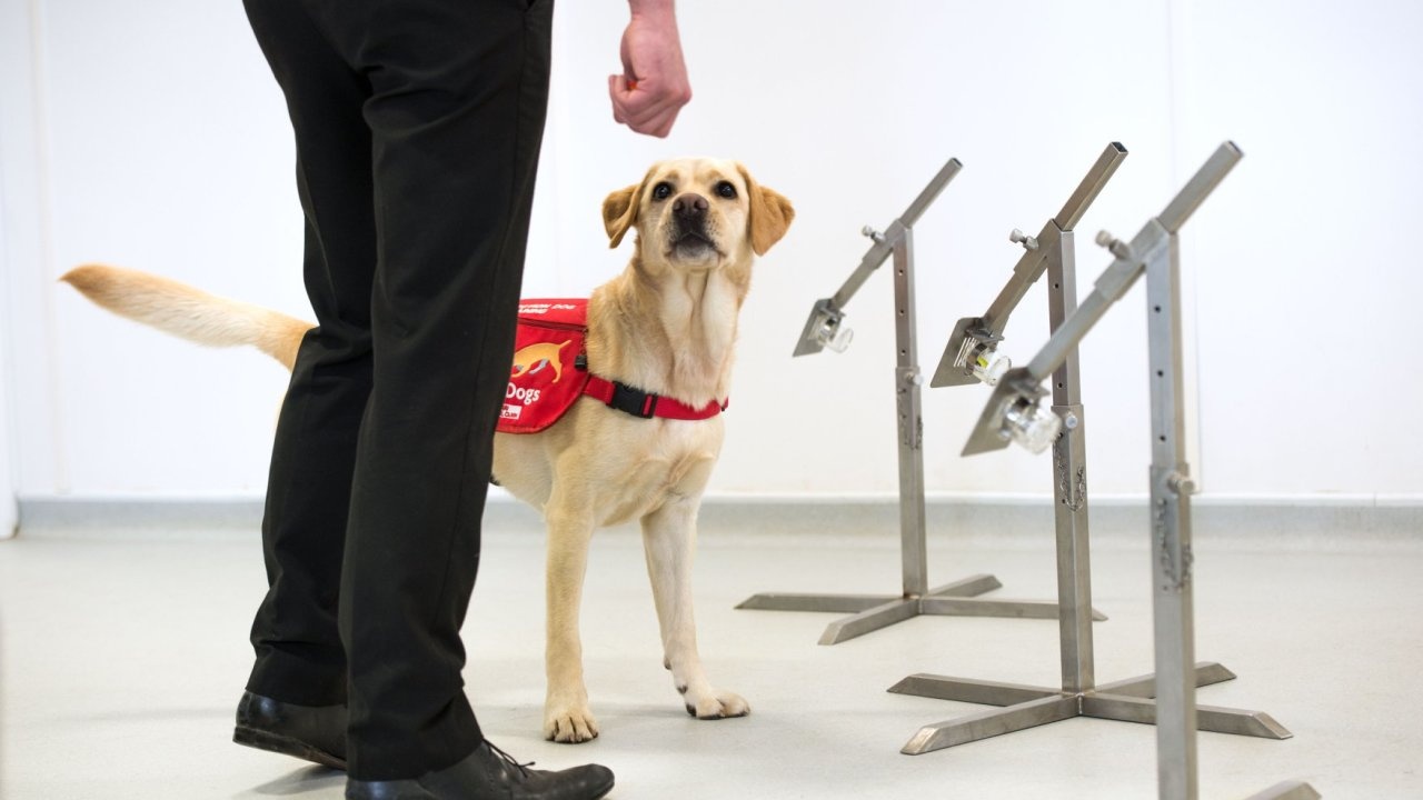 Thu nghiem dung cho ngui ra nguoi nhiem Covid-19 hinh anh