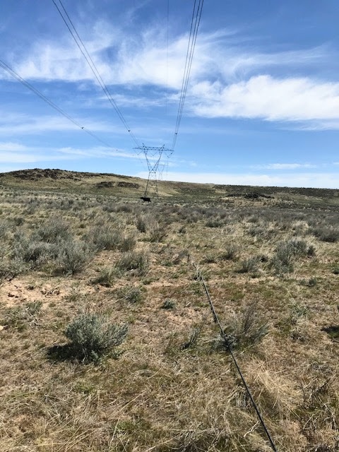 cap quang Google bi bo giam anh 2