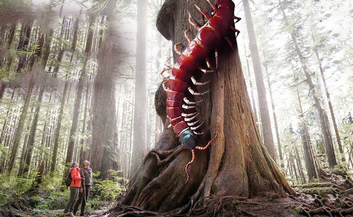 Trai Dat thay doi ra sao khi luong oxy tang gap doi? hinh anh