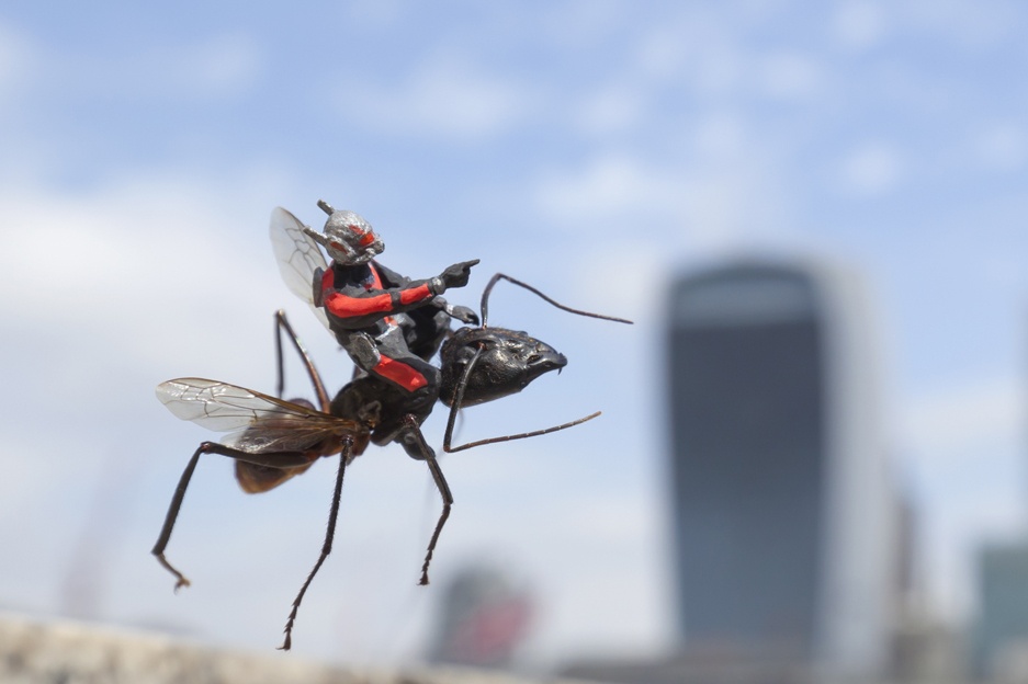 Vi sao Ant-Man la sieu anh hung de 'tu huy' nhat? hinh anh