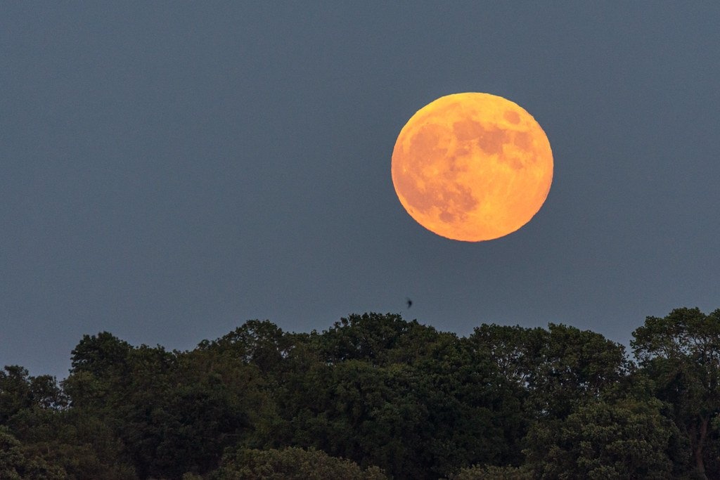 hinh anh nguyet thuc nua toi anh 10