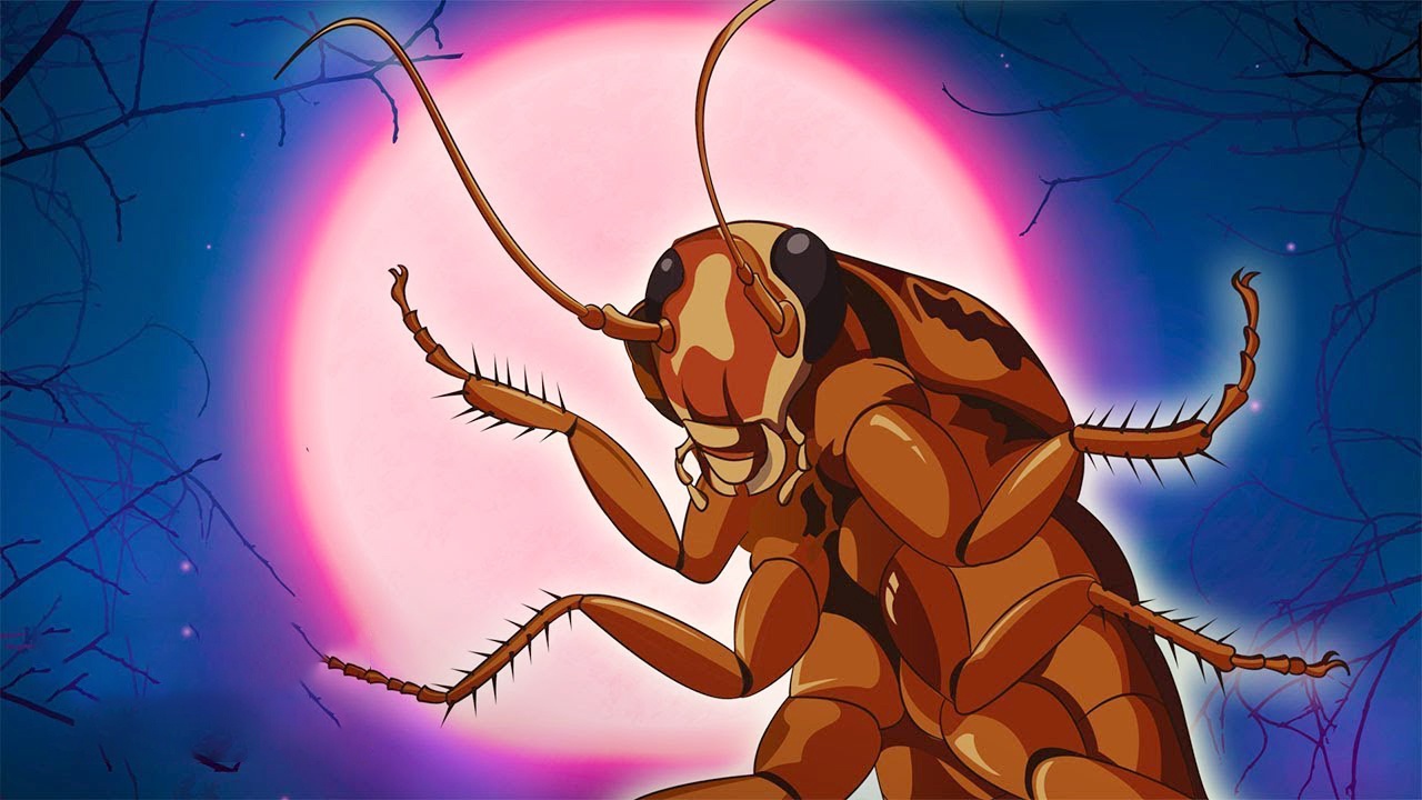 Bi chat dau, loai gian van co the song? hinh anh