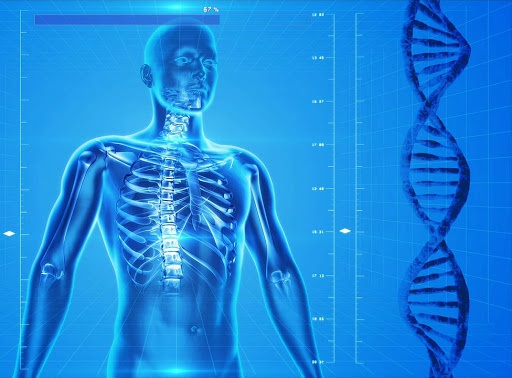 Trong mot phut, 'co may' ben trong co the ban hoat dong ra sao? hinh anh