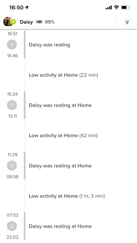 vong deo the thao cho cho anh 3