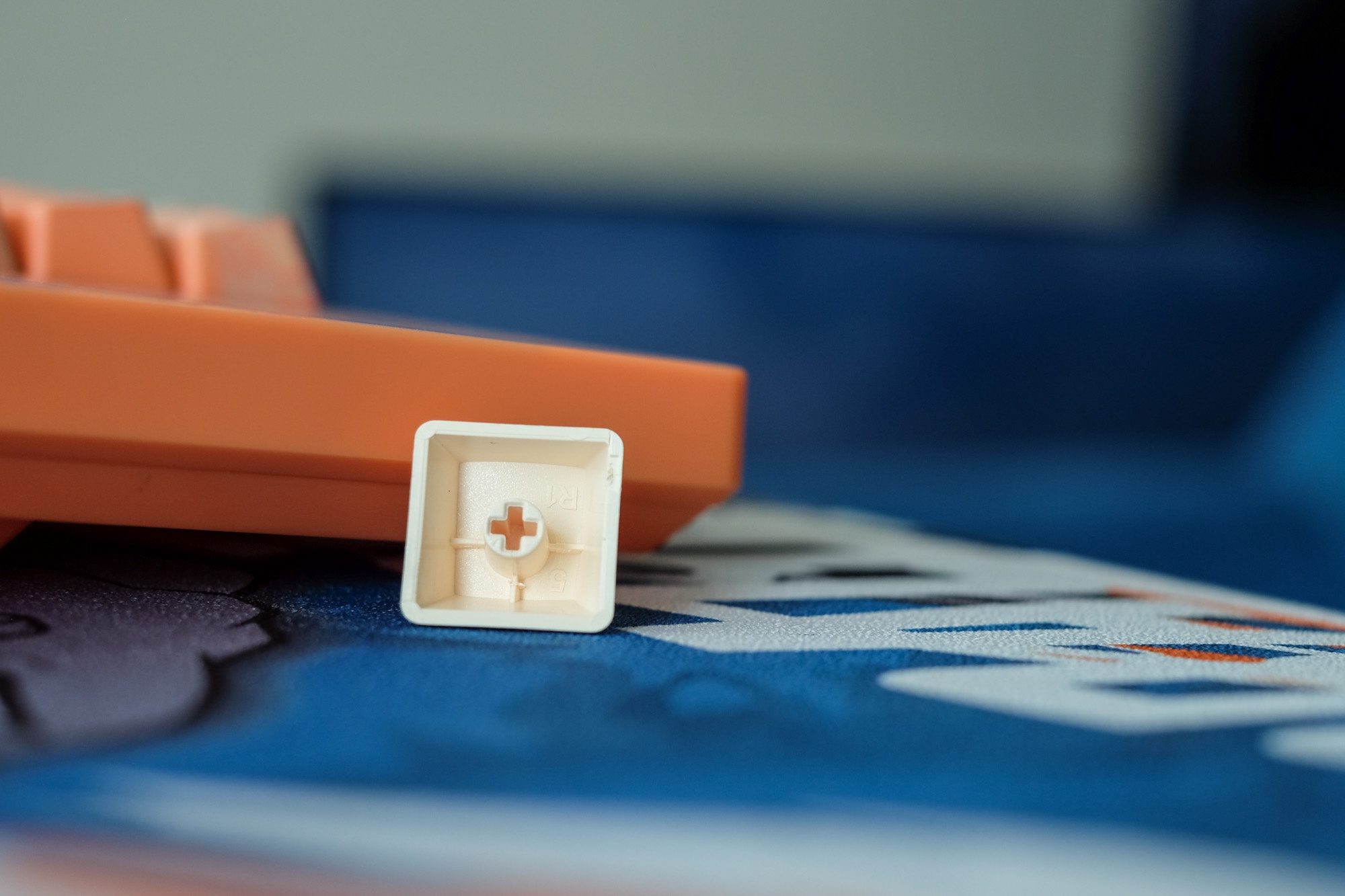 bo phim chuot akko dragon ball anh 6