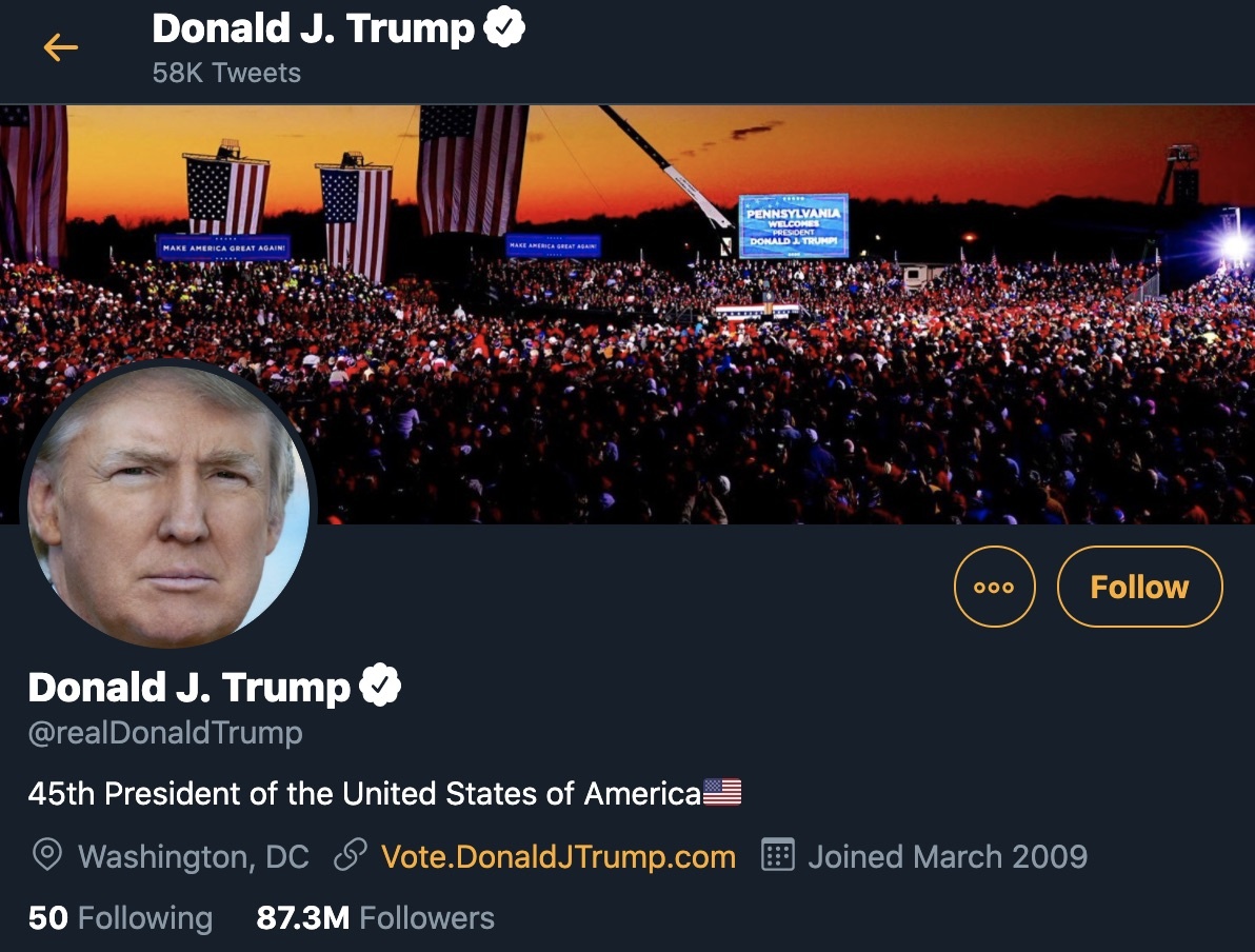 ung vien tong thong my tren mang xa hoi anh 1