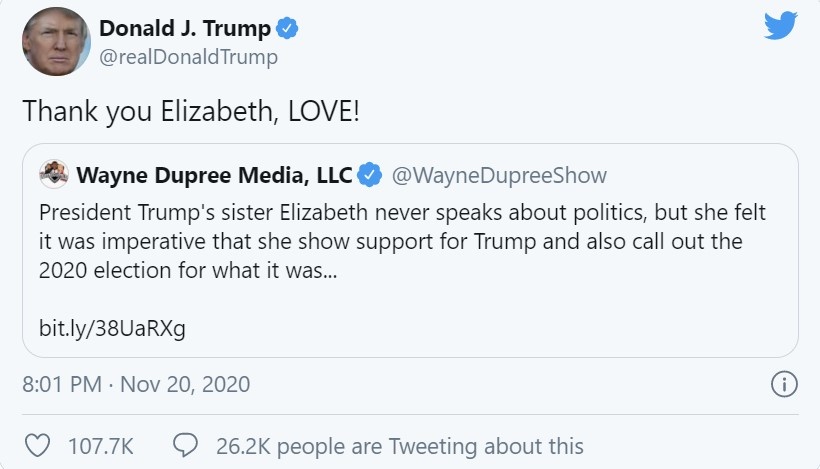 tong thong trump dinh tin gia anh 1