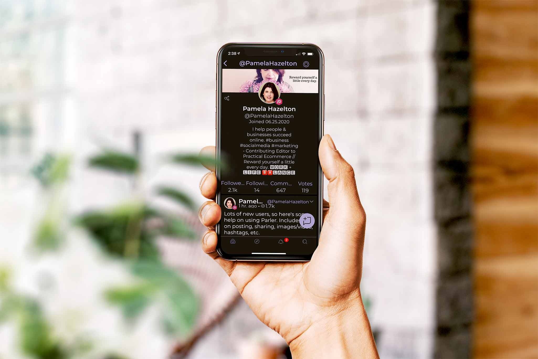 ung dung keu goi bao loan dien capitol anh 2