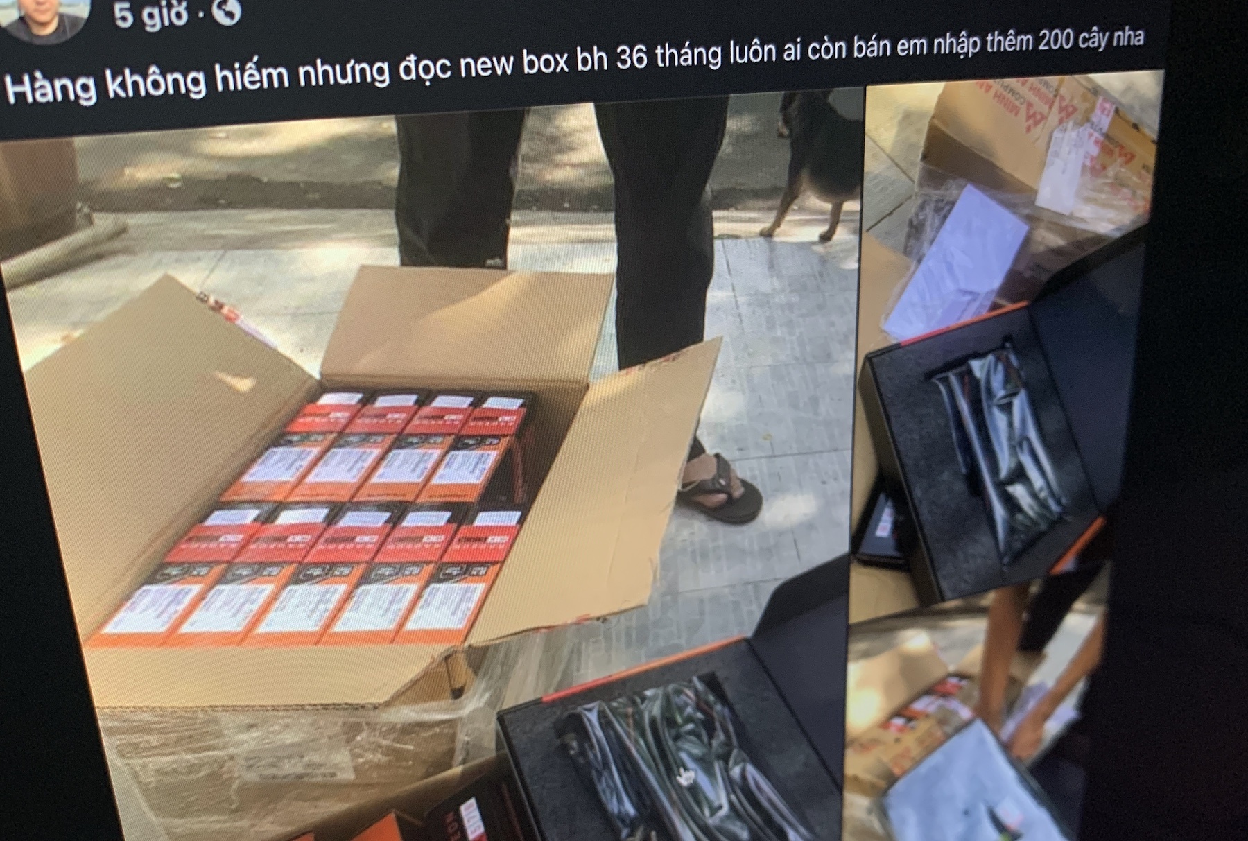 con sot dao coin anh 4