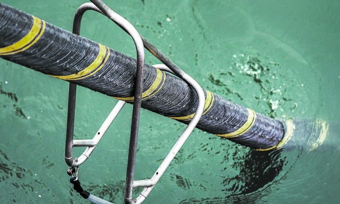 huawei marine bi cam lam cap quang bien anh 1