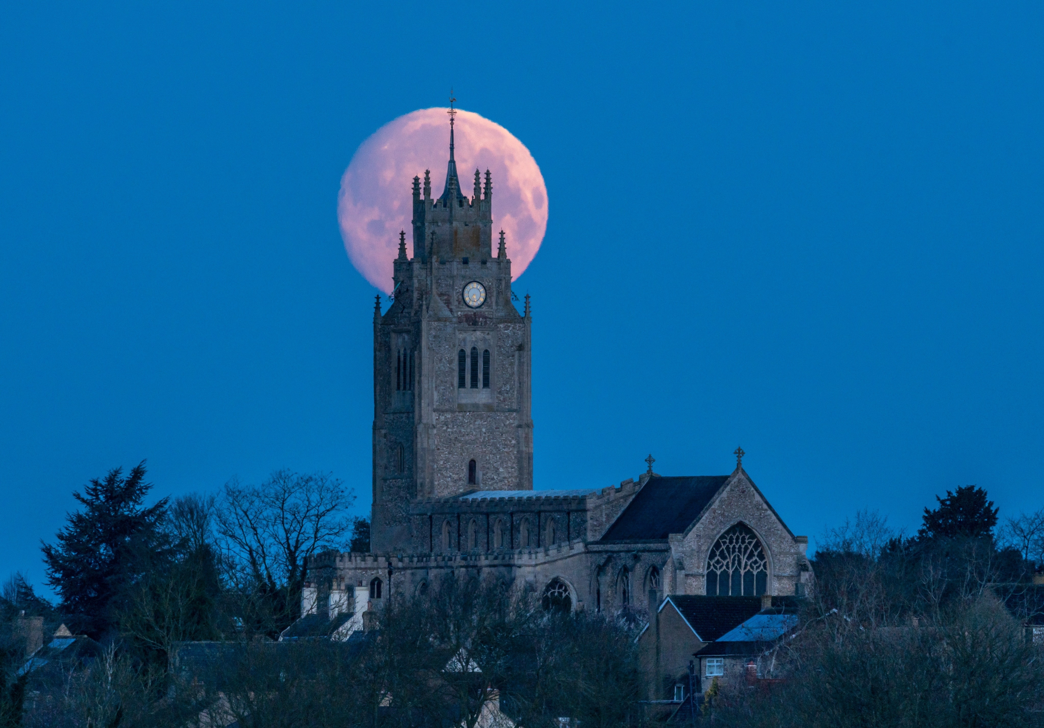 Hinh anh 'sieu trang giun' tren khap the gioi hinh anh