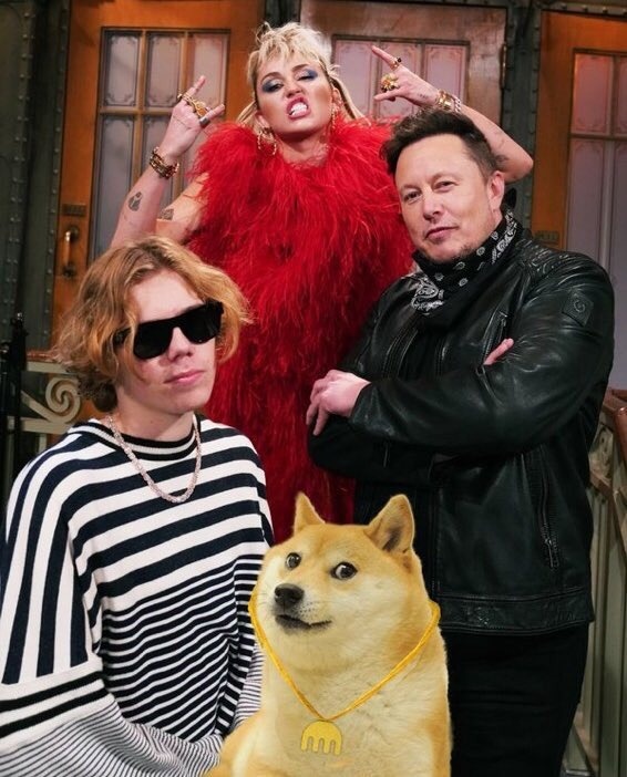 elon musk bitcoin anh 3