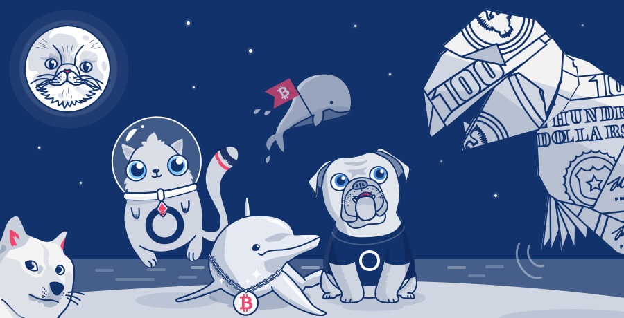 Sau Doge, 'coin dong vat' tro thanh trao luu nguy hiem hinh anh