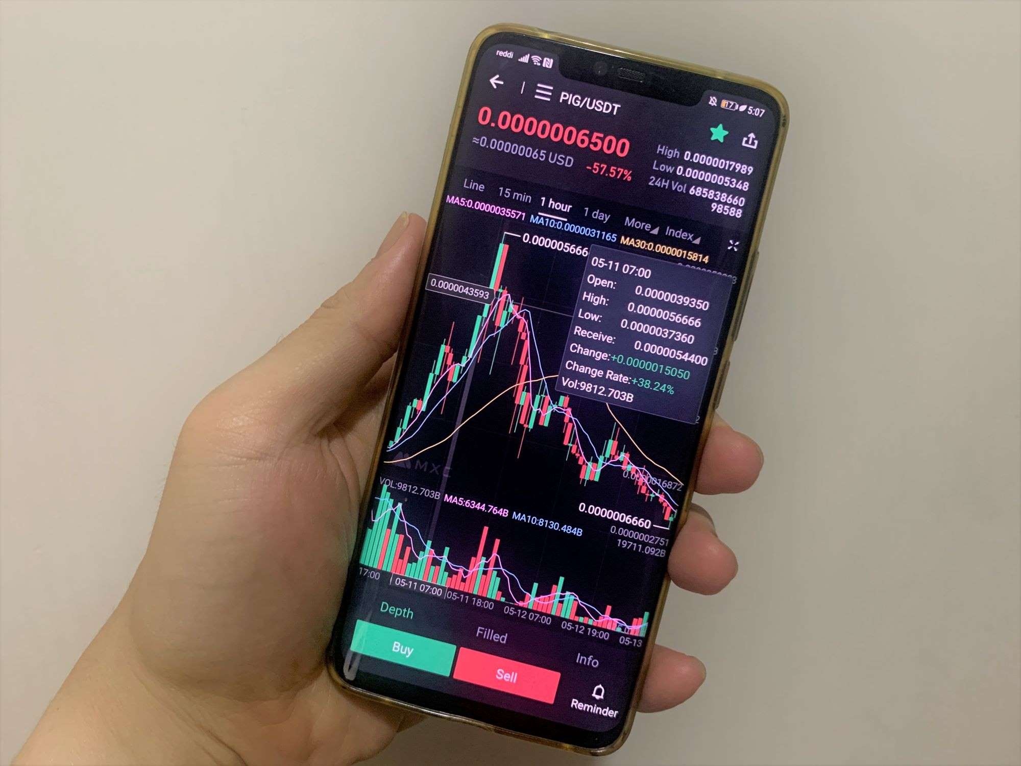 tien ma hoa dong vat anh 3