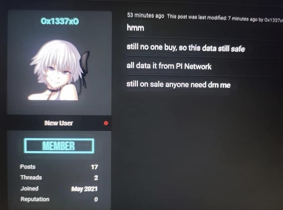 pi network làm lộ dữ liệu ảnh 2 pi network lam lo du lieu anh 2