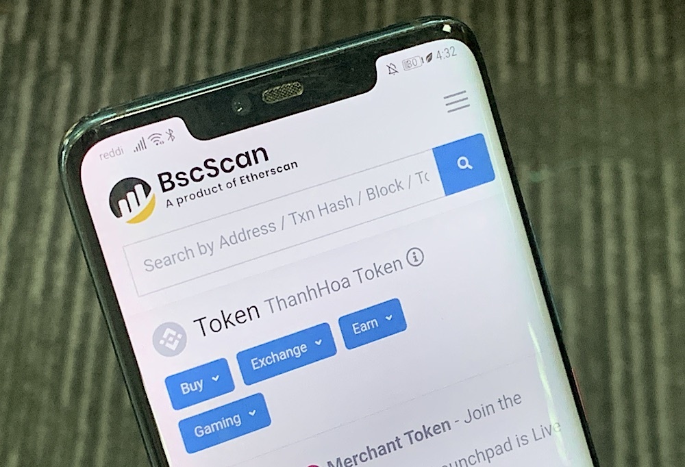 Gia tri that cua tro dua coin Thanh Hoa, ‘Doge Phu Quoc’ hinh anh