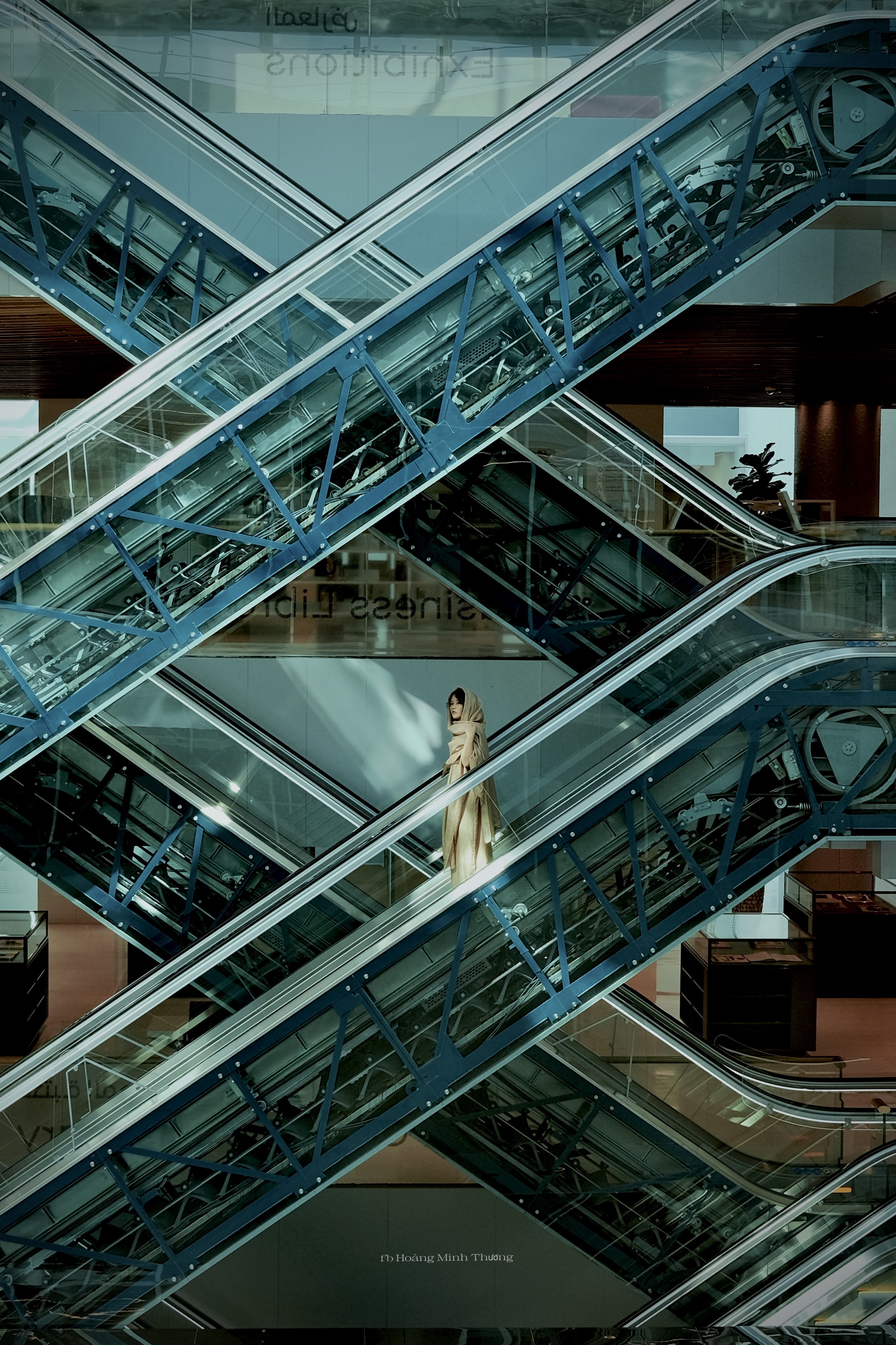 thu vien mohammad bin rashid anh 12