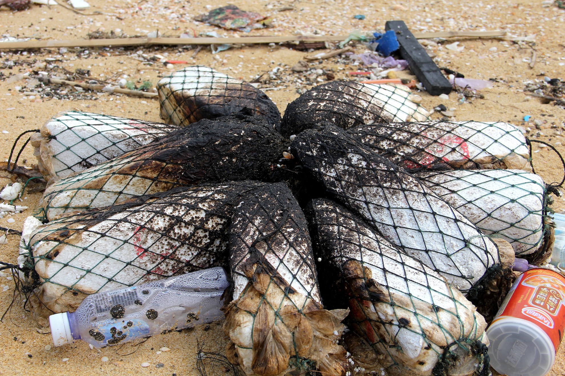 rac thai chu Trung Quoc dat bo bien Quang Nam anh 3