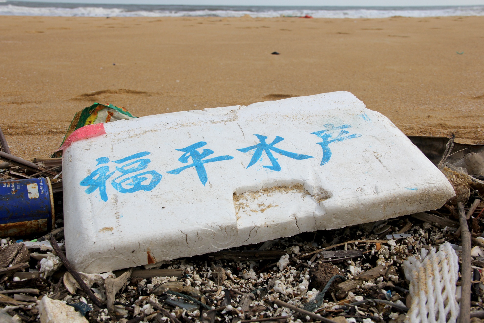 Gan 300 tan rac, dau von cuc dat vao bo bien Quang Nam hinh anh