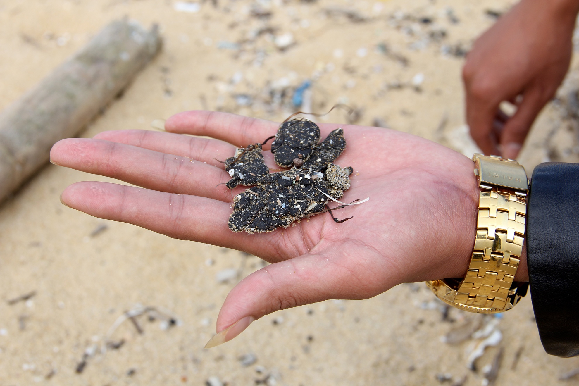 rac thai chu Trung Quoc dat bo bien Quang Nam anh 8