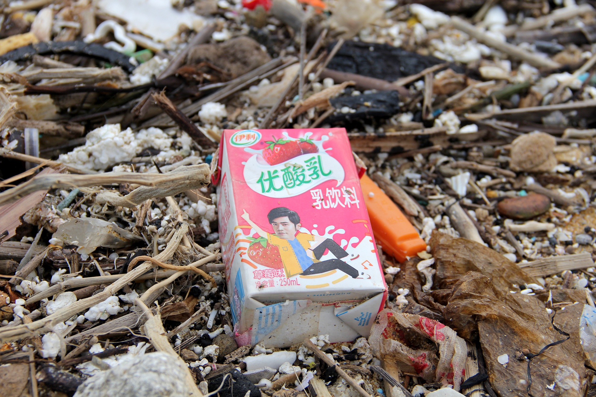 rac thai chu Trung Quoc dat bo bien Quang Nam anh 9