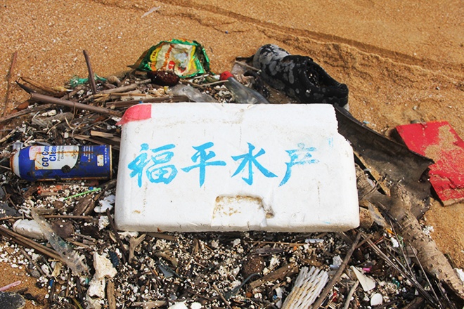 Dau von cuc dat bo bien Quang Nam la dau hieu khac thuong hinh anh