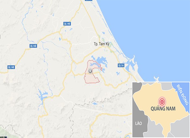 Đào củ sắn khủng ở Quảng Nam đi triển lãm ảnh 2 Dao cu san khung o Quang Nam di trien lam anh 2