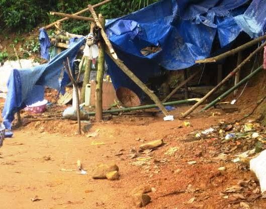 Sap ham khien mot phu vang tu vong hinh anh